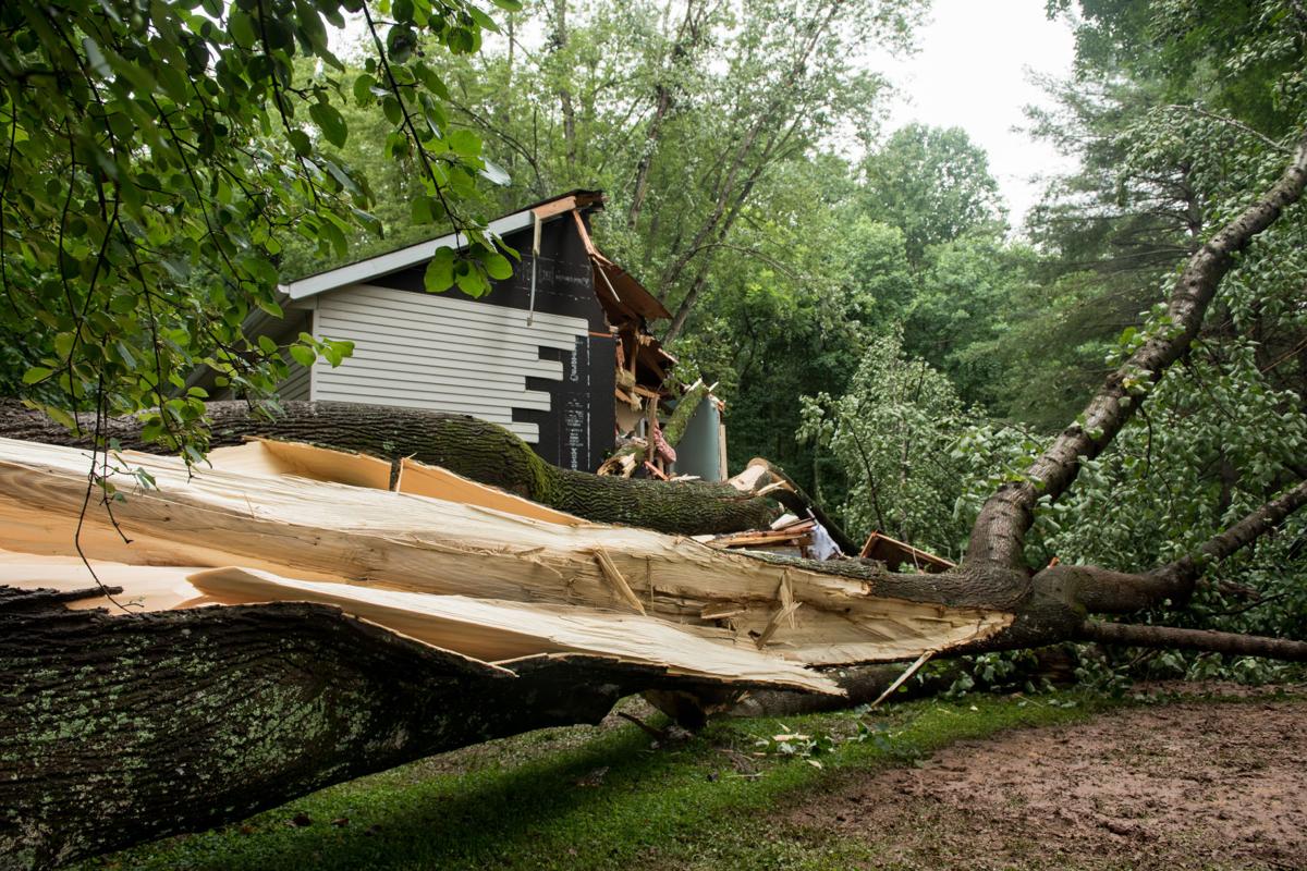 Tree Smashing House